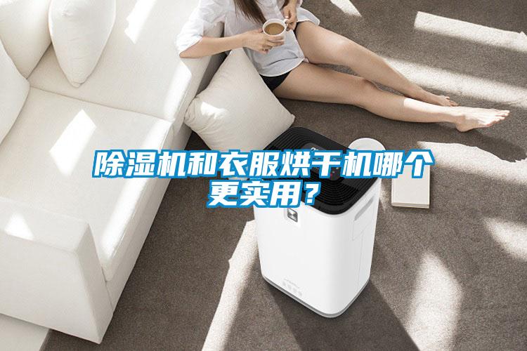 除濕機和衣服烘干機哪個更實用？