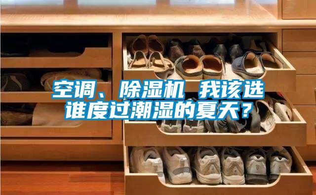 空調(diào)、除濕機(jī) 我該選誰度過潮濕的夏天？