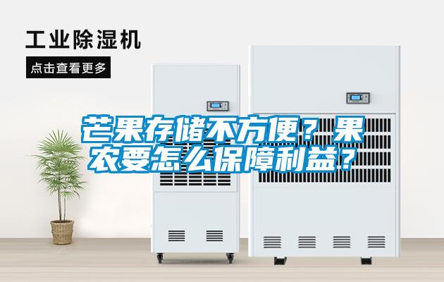 芒果存儲不方便?果農(nóng)要怎么保障利益?