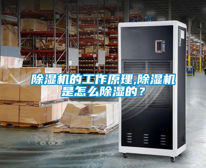 除濕機的工作原理,除濕機是怎么除濕的？