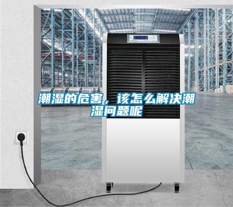 潮濕的危害，該怎么解決潮濕問題呢