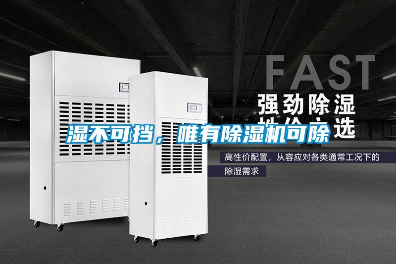 濕不可擋，唯有除濕機(jī)可除
