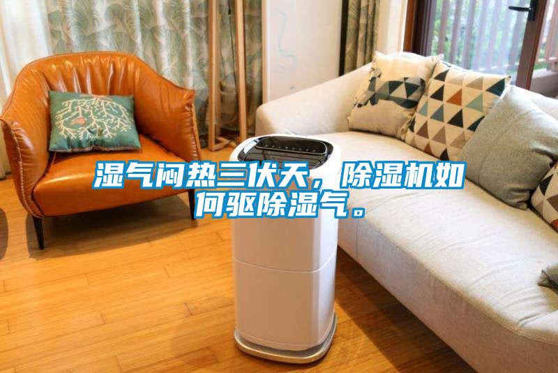 濕氣悶熱三伏天，除濕機如何驅除濕氣。