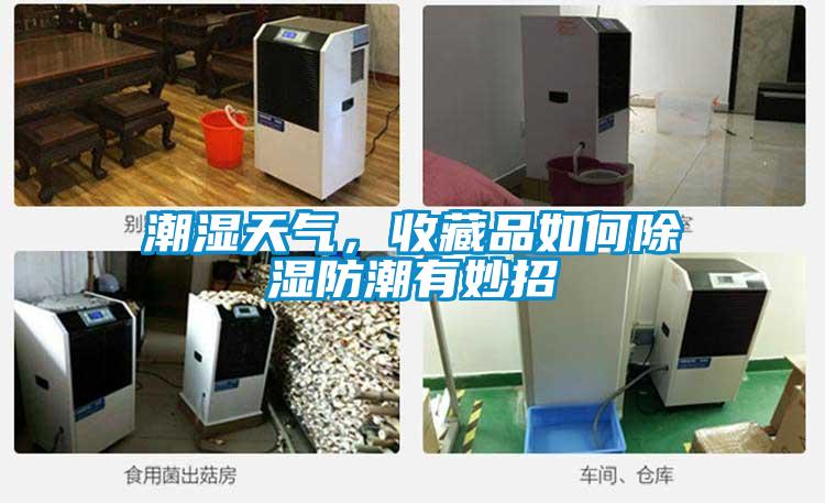 潮濕天氣，收藏品如何除濕防潮有妙招