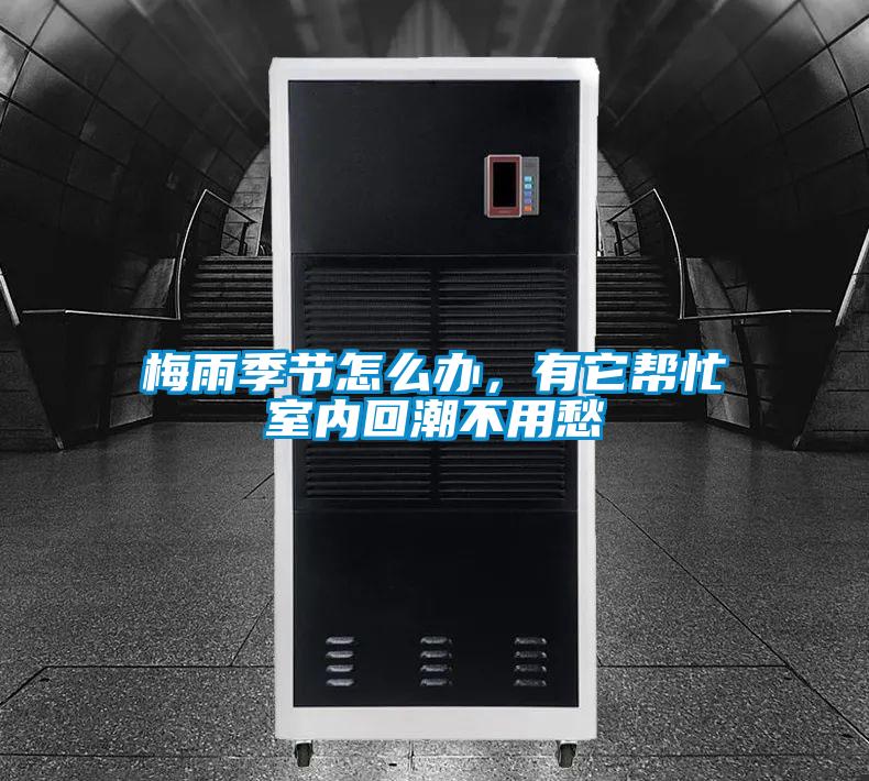 梅雨季節(jié)怎么辦，有它幫忙室內(nèi)回潮不用愁