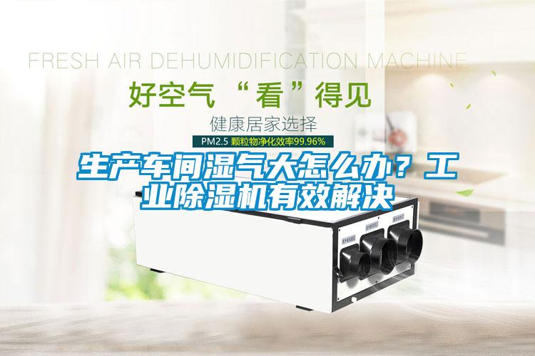 生產(chǎn)車(chē)間濕氣大怎么辦？工業(yè)除濕機(jī)有效解決