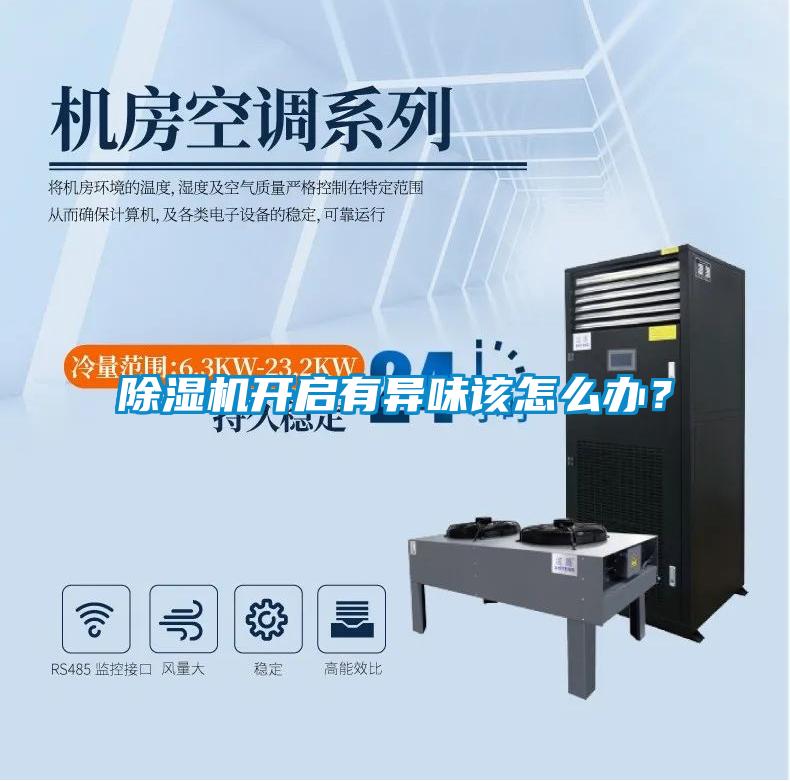 除濕機開啟有異味該怎么辦?