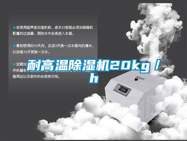 耐高溫除濕機20kg/h