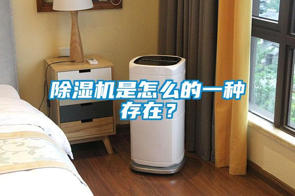 除濕機是怎么的一種存在？