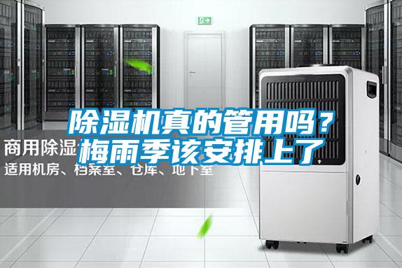 除濕機(jī)真的管用嗎？梅雨季該安排上了