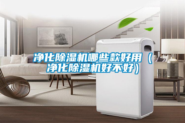 凈化除濕機(jī)哪些款好用(凈化除濕機(jī)好不好)