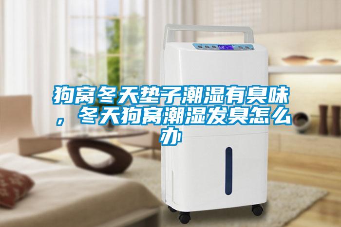 狗窩冬天墊子潮濕有臭味，冬天狗窩潮濕發臭怎么辦