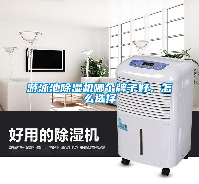 游泳池除濕機哪個牌子好，怎么選擇