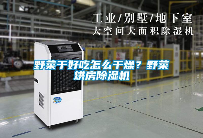 野菜干好吃怎么干燥？野菜烘房除濕機