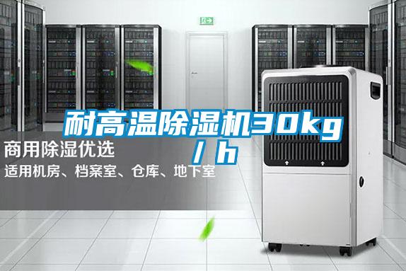 耐高溫除濕機30kg/h
