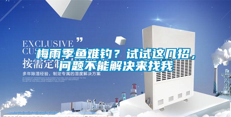 梅雨季魚難釣？試試這幾招，問題不能解決來找我