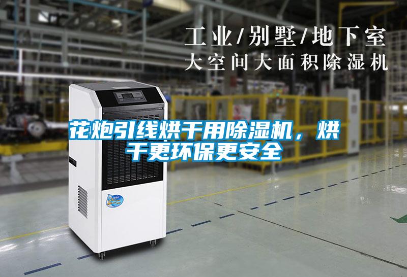 花炮引線烘干用除濕機，烘干更環保更安全