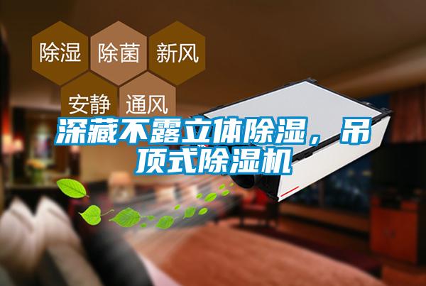 深藏不露立體除濕，吊頂式除濕機