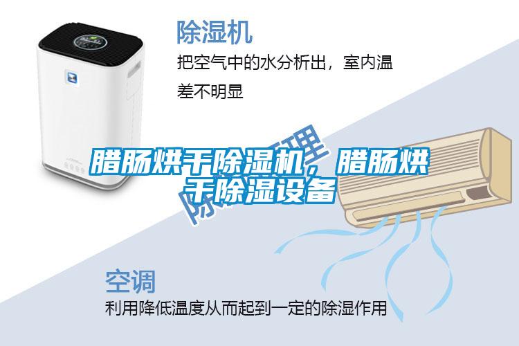 臘腸烘干除濕機，臘腸烘干除濕設備