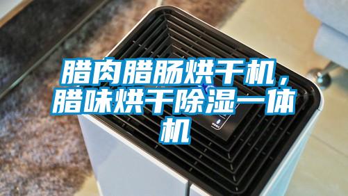 臘肉臘腸烘干機，臘味烘干除濕一體機