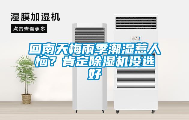 回南天梅雨季潮濕惹人惱?肯定除濕機沒選好