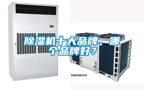 除濕機十大品牌，哪個品牌好？