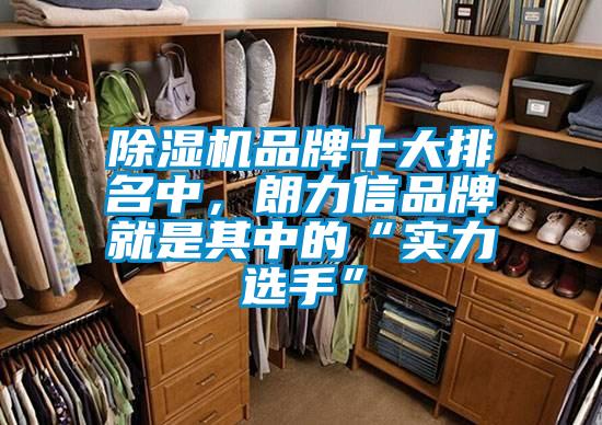除濕機品牌十大排名中，朗力信品牌就是其中的“實力選手”