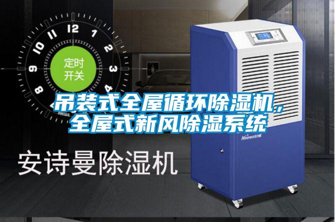 吊裝式全屋循環(huán)除濕機(jī)，全屋式新風(fēng)除濕系統(tǒng)