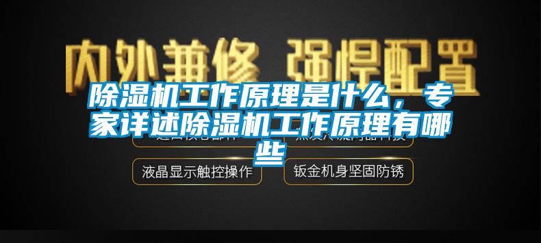 除濕機工作原理是什么，專家詳述除濕機工作原理有哪些
