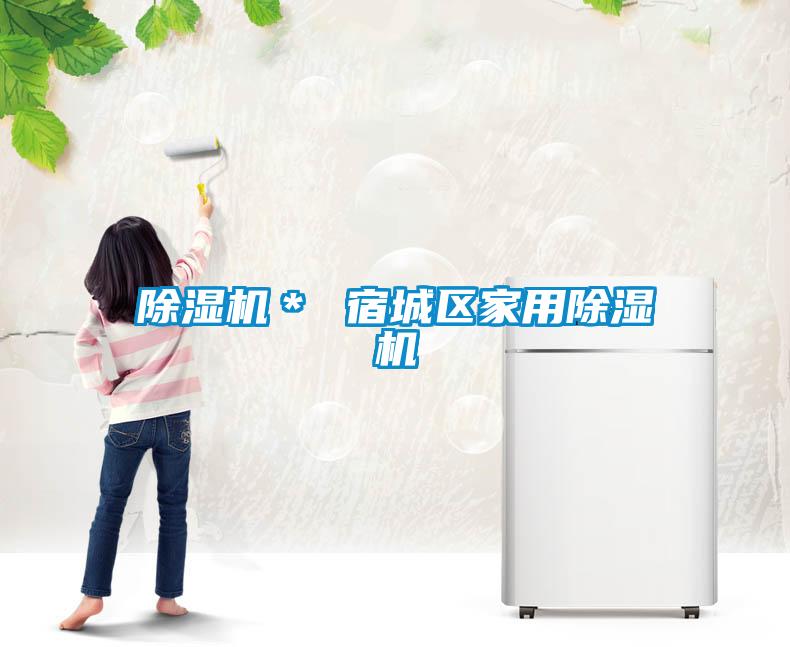 除濕機(jī)* 宿城區(qū)家用除濕機(jī)