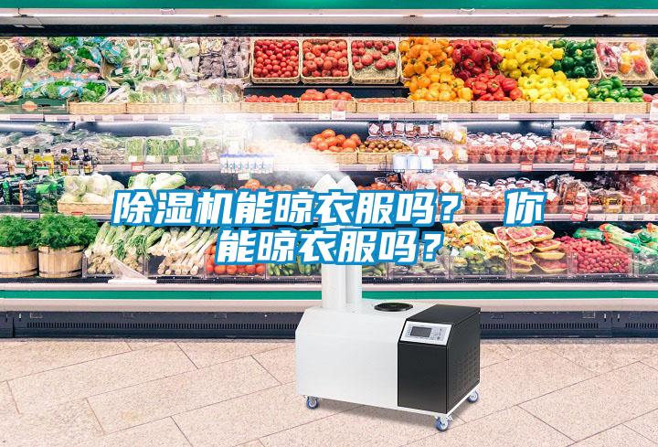除濕機能晾衣服嗎？ 你能晾衣服嗎？
