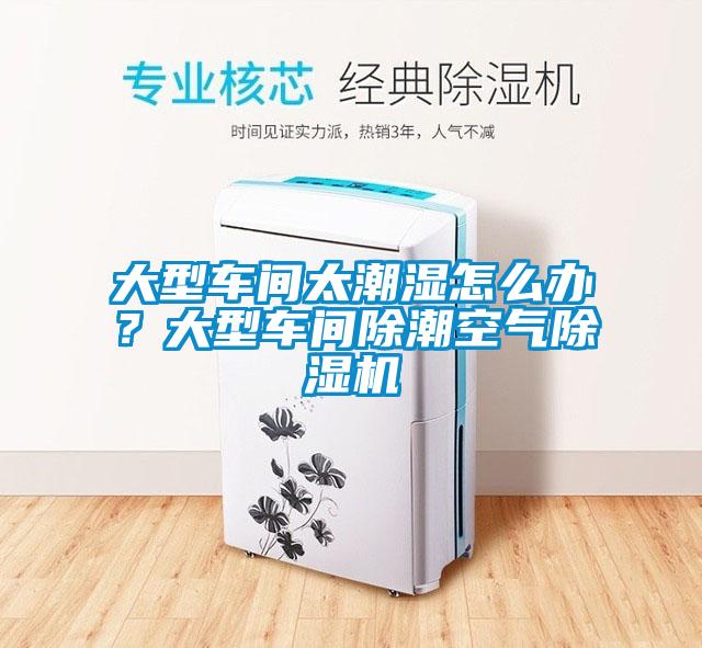 大型車間太潮濕怎么辦？大型車間除潮空氣除濕機(jī)