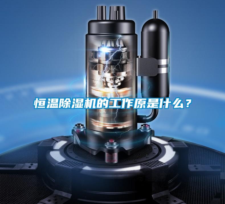 恒溫除濕機的工作原是什么？