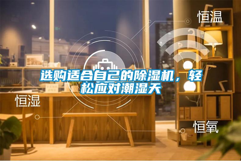 選購適合自己的除濕機，輕松應對潮濕天