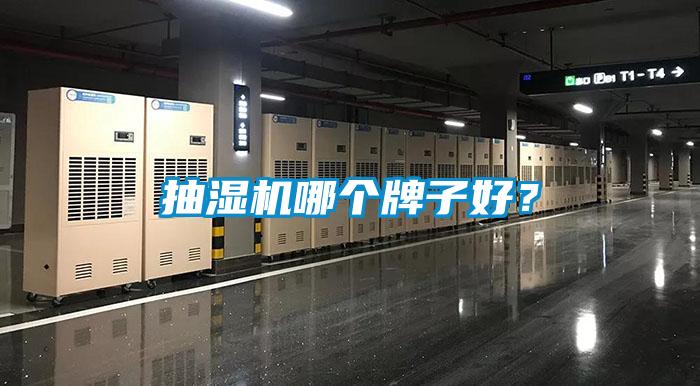 抽濕機哪個牌子好?