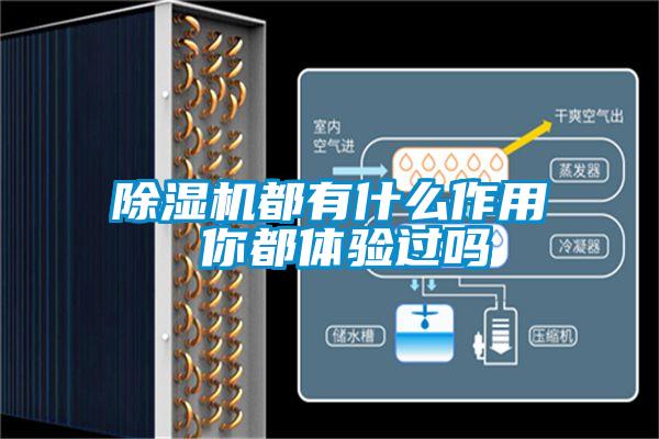除濕機(jī)都有什么作用 你都體驗(yàn)過(guò)嗎