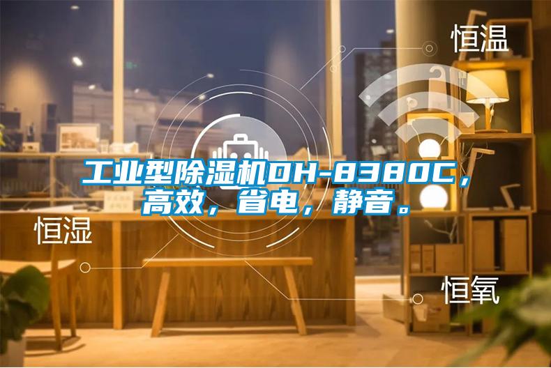 工業(yè)型除濕機DH-8380C，高效，省電，靜音。