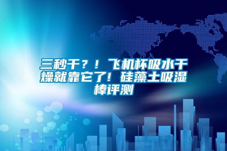 三秒干?! 飛機(jī)杯吸水干燥就靠它了! 硅藻土吸濕棒評測