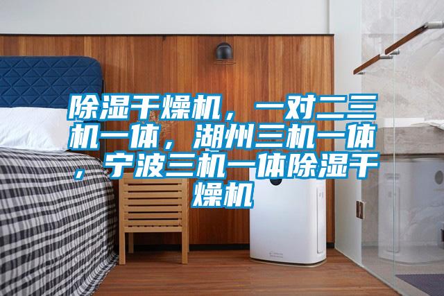 除濕干燥機(jī)，一對二三機(jī)一體，湖州三機(jī)一體，寧波三機(jī)一體除濕干燥機(jī)