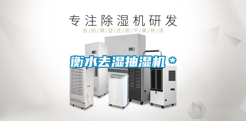 衡水去濕抽濕機(jī)*