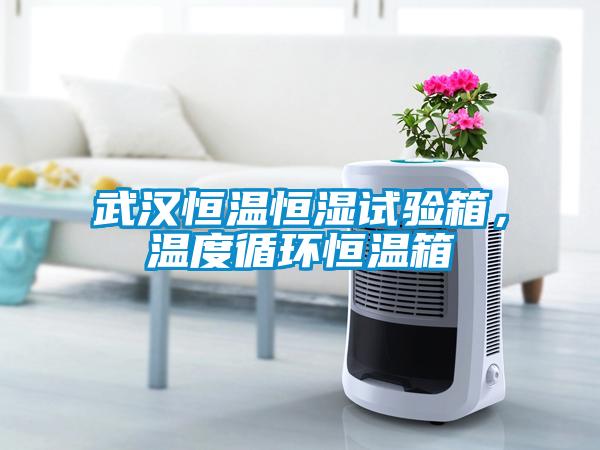 武漢恒溫恒濕試驗箱,溫度循環恒溫箱