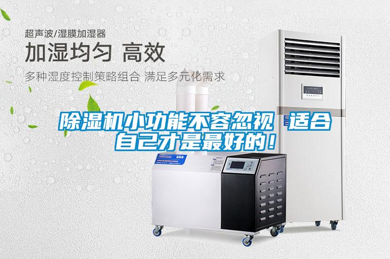 除濕機小功能不容忽視 適合自己才是最好的！