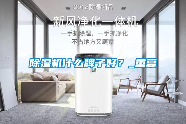 除濕機什么牌子好？_重復