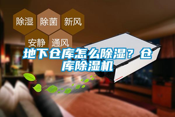 地下倉(cāng)庫(kù)怎么除濕?倉(cāng)庫(kù)除濕機(jī)