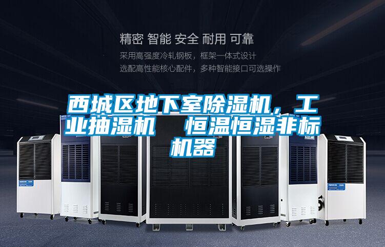 西城區(qū)地下室除濕機(jī)，工業(yè)抽濕機(jī)  恒溫恒濕非標(biāo)機(jī)器