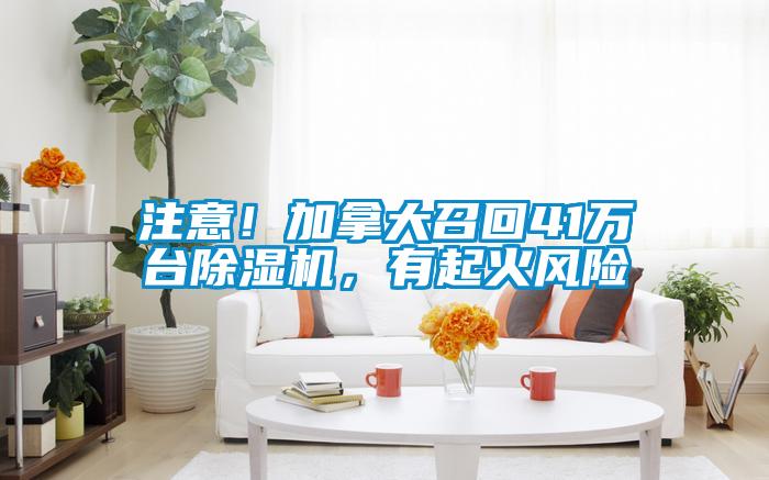 注意！加拿大召回41萬(wàn)臺(tái)除濕機(jī)，有起火風(fēng)險(xiǎn)