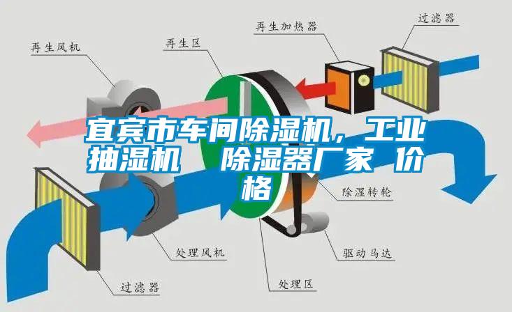 宜賓市車間除濕機,工業抽濕機  除濕器廠家 價格