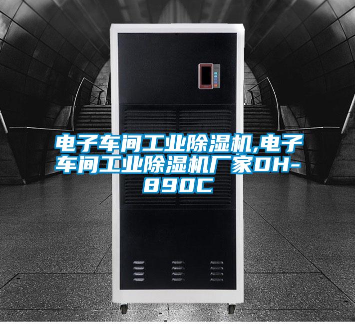 電子車(chē)間工業(yè)除濕機(jī),電子車(chē)間工業(yè)除濕機(jī)廠家DH-890C
