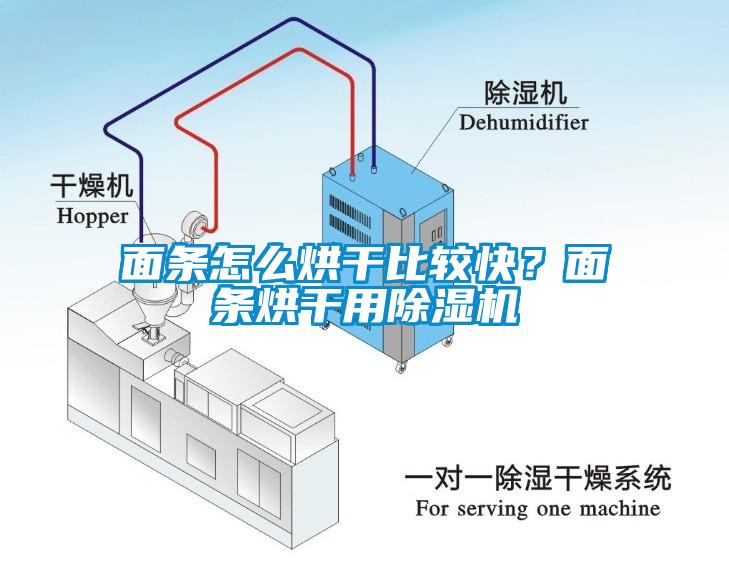面條怎么烘干比較快?面條烘干用除濕機