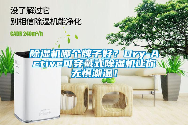 除濕機哪個牌子好？Dry-Active可穿戴式除濕機讓你無懼潮濕！